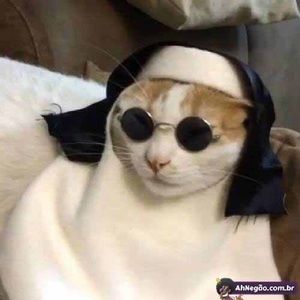 Meet your Posher, Helen